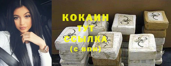 гидра Белокуриха